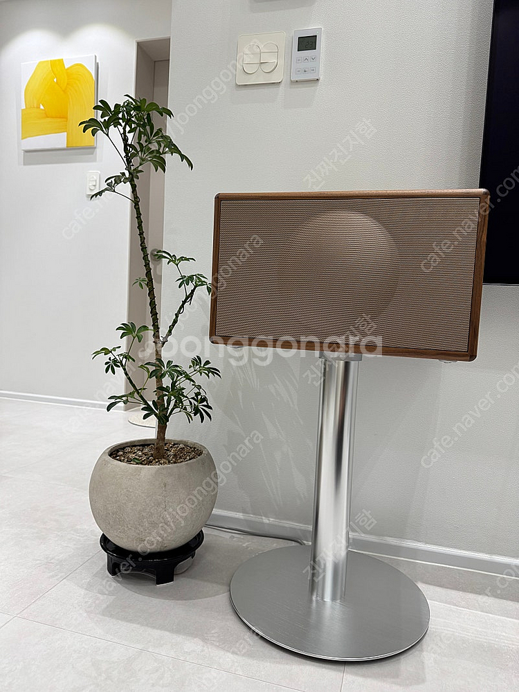 제네바 L 월넛(스탠드 포함)--0